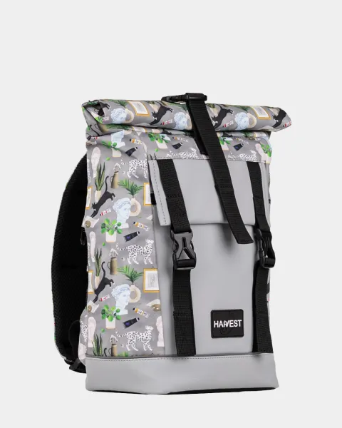 "AVIAROLLTOP MINI" принт cats