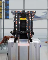 "AVIAROLLTOP MINI 02" принт птахи