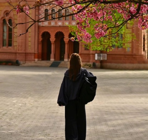 рюкзаки harvest