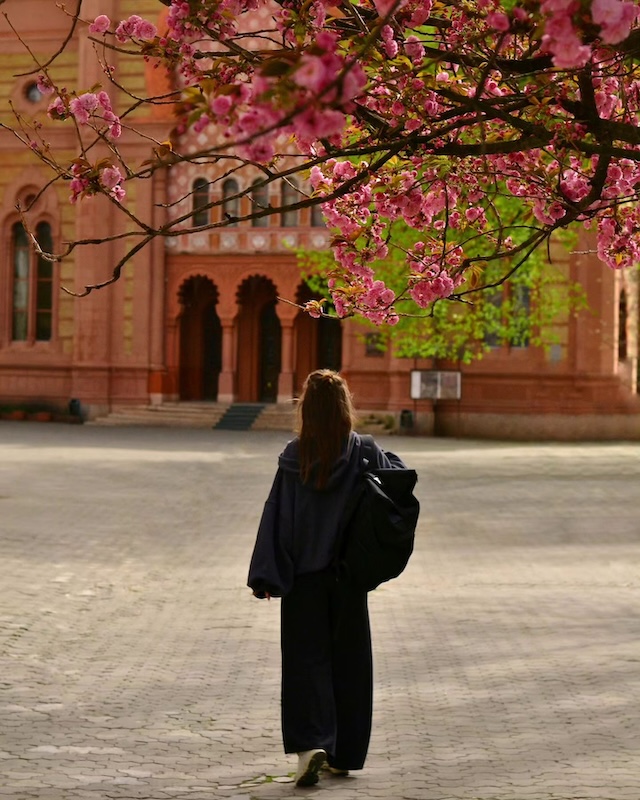 рюкзаки harvest